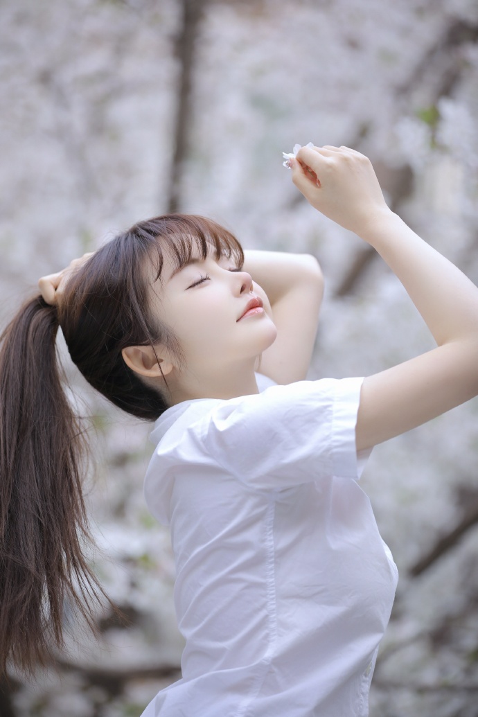 小森林 夏秋篇